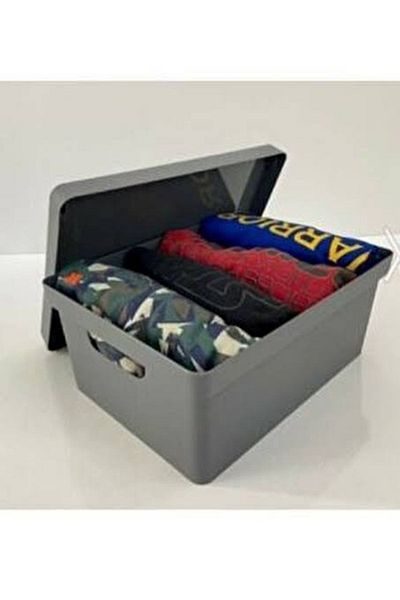 Hane216 10 Lt Organizer Box with Lid Set of 2 (Anthracite, Gray)