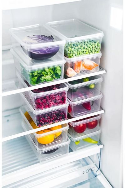 Hane216 10 Pieces of Frozen Meal Meat and Vegetable Storage Container 2000 ml - Portion Icebox Mincer Box