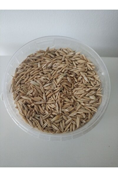 GoldMindMix 5 Kg Kuş Yemi ( Kabuklu Yulaf ) 5 Kg. Papağan Kanarya, Muhabbet K...