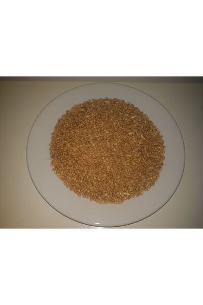 KUŞ YEMİ  2Kg BUĞDAY