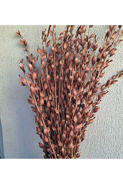 kutmen Bakır Rengı Sedef Çiçeği 15 Dal(KURU ÇIÇEK)