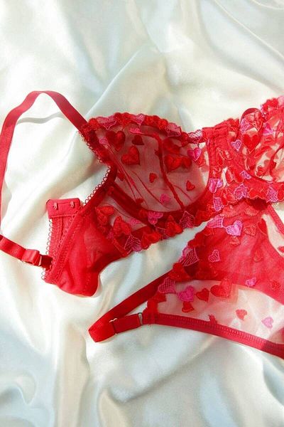 WİNTEX PREMIUM SERIES LACE AND TULLE DETAILED BRA SET
