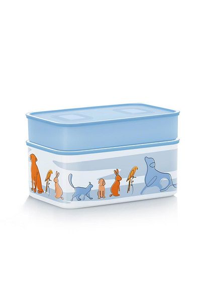 Tupperware Patterned Storage Container Set 2.9 Lt 1.1 Lt