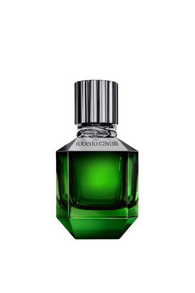 Roberto Cavalli Paradise Found for Men Eau de Toilette by Roberto Cavalli 50 mlRoberto Cavalli