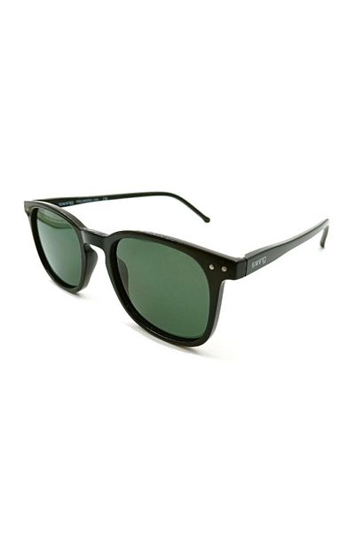 Swing Ss321 C03 Sunglasses