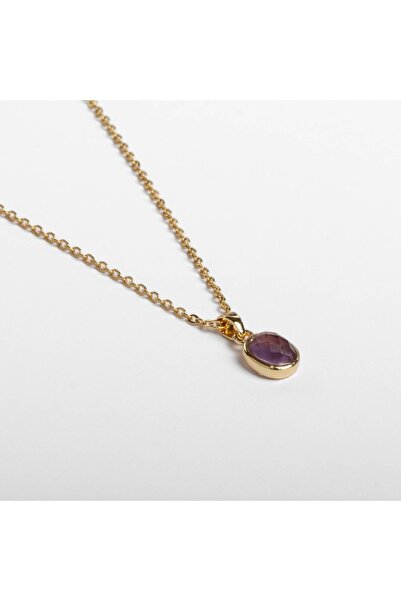 Paleo Mini Ametist Taşı Doğal Taş Çelik Kolye