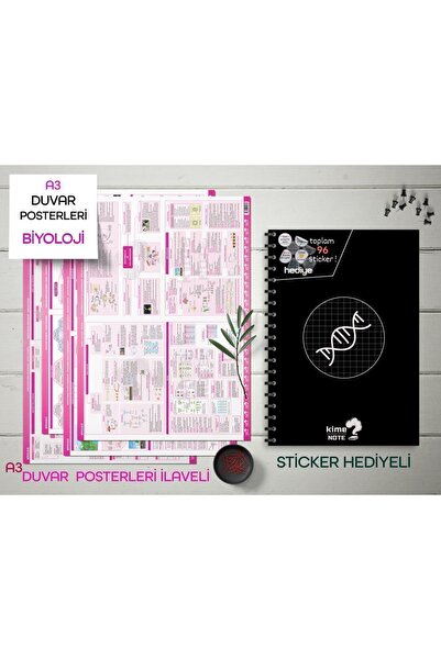 Kime Note TYT Kareli Biyoloji Okul Defteri Konu Anlatımlı 4 Büyük Poster ve 9...