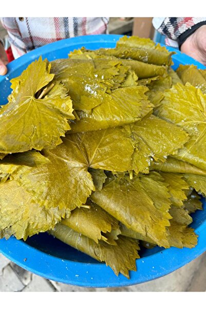 NİKSARDAN Tokat Köy Yapraği 5'lik Bidon