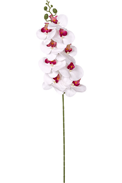 Herdekora Yapay Orkide Gerçek Dokunuş Beyaz-Mor 95 Cm.
