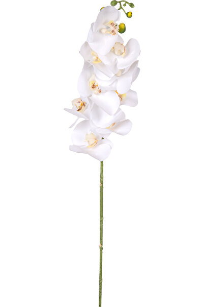 Herdekora Yapay Orkide Gerçek Dokunuş Beyaz 90 Cm.