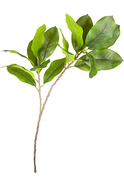 Herdekora Yapay Bitki Manolya Dalı Yeşil 75 Cm.