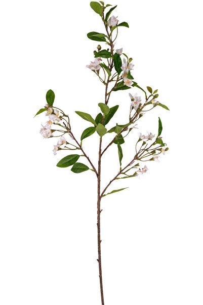 Herdekora Yapay Çiçek Filbahri-Limon Çiçeği Dal Beyaz 95 Cm.