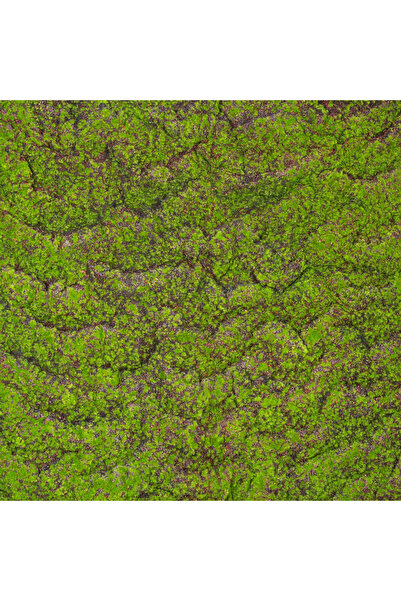 Herdekora Yapay Yosun Duvar Dekoru Tabaka Kahve-yeşil 100x100 Cm.