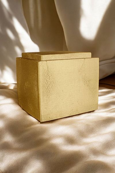 Viselia Cutie de bijuterii de culoare aurie - Organizator cu capac, model 13