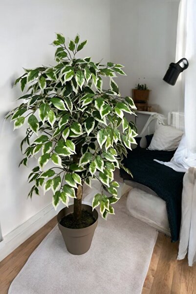 ERHAN FLOWERS ÇİÇEK & DEKORASYON 100 cm yapay ficus agacı