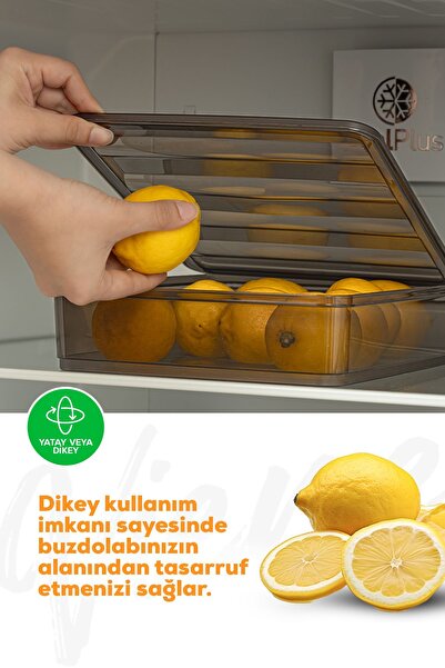 Vienev 4lü Bella Buzdolabı Düzenleyici Saklama Kabı Büyük Boy
