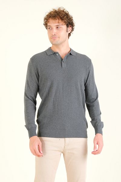 Giyim Dünyası Anthracite Men's Polo Collar Patterned Sweater