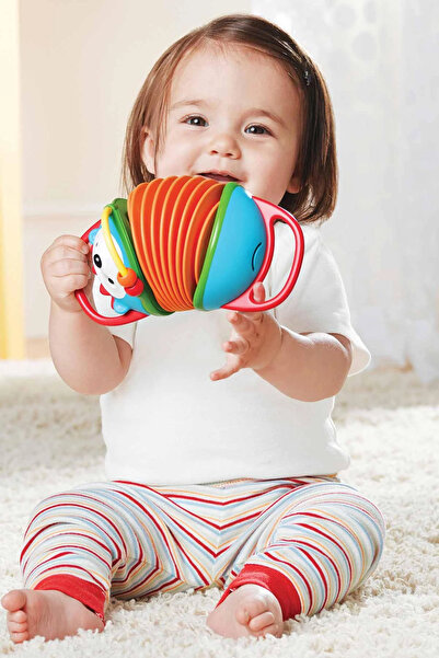 Skip Hop Explore & More Kirpi Desenli +6 Ay Oyuncak Akordion