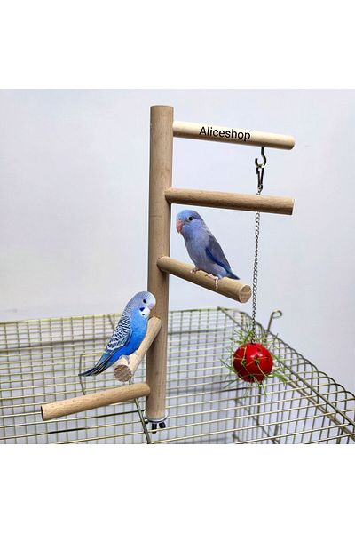 aliceshop Ladder Shaped Cage Top Grass Bulk Perch