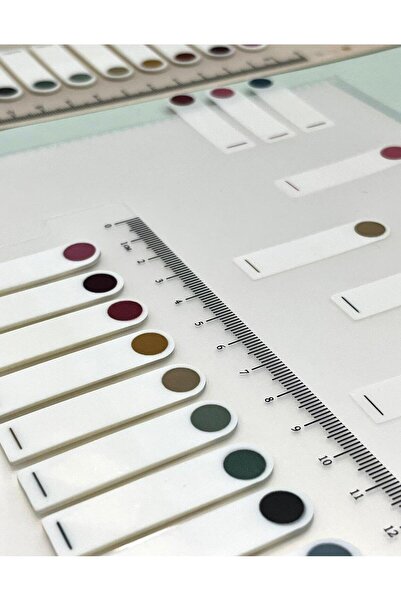 Kağıt Gemi Dükkan 10 autocolante index transparente cu margine rotundă, cu riglă de culoare/indice/post-it/semn de carte/hârtie pentru note