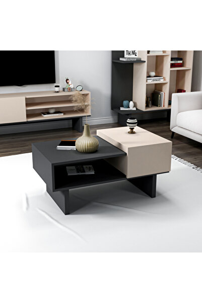 ARNETTİ Palermo Raflı Kapaklı Modern Orta Sehpa Salon Sehpası, Bej Antrasit - Palermo