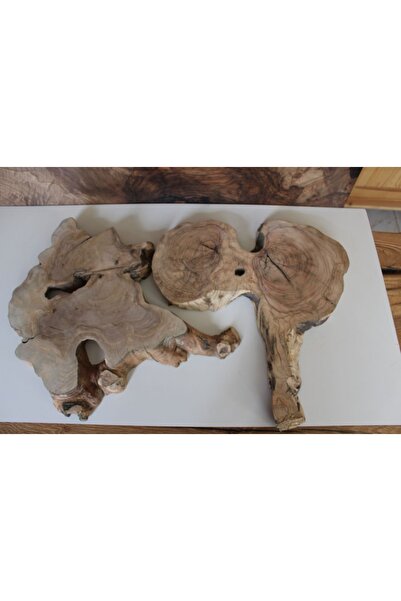 oliveforestwood شجرة الزيتون - تصميم ورقي