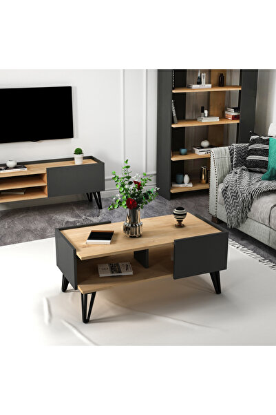 ARNETTİ Fibel Raflı Modern Orta Sehpa Salon Sehpası, Safirmeşe Antrasit - Fibel