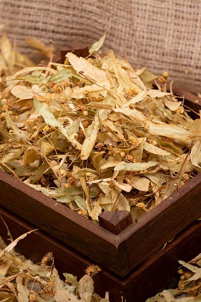 Kurtuluş Kuruyemiş 150Gr Leaf Linden