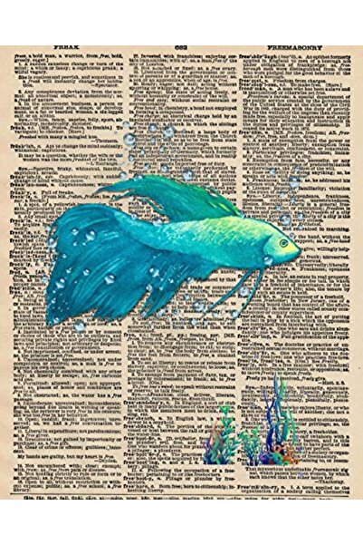 Jarir Marketing Co أكتوبر وامسح الألوان والأشكال