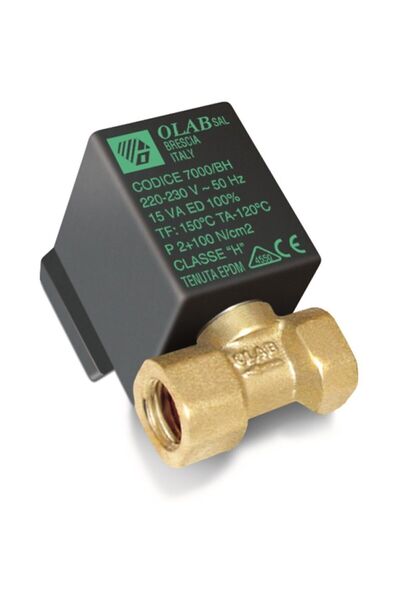 Genel Markalar Ütü Solenoid Valf 1/4 / Ty 70006/ae