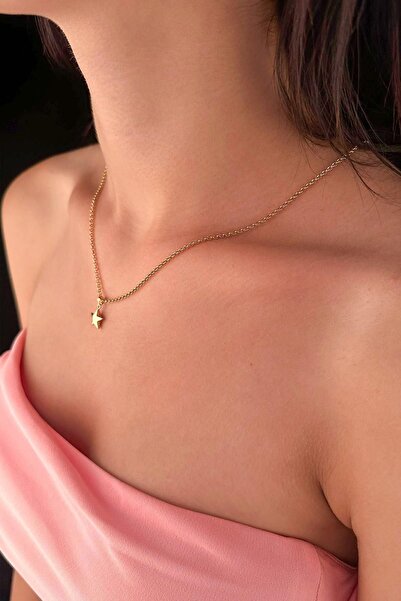 Fiyonk Kuyumculuk 14 Ayar Altın Halka Doch Zincir Yıldız Kolye