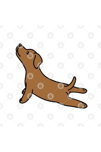 TatFast كوب اليوغا Vizsla، هدية، المهر، حامل العرض