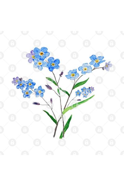 TatFast كوب Watercolor Forget Me Note 2، هدية، مهر، عرض