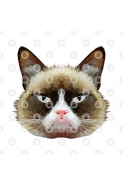 TatFast Grumpy Cat Mug, Gift, Dowry, Presentation Holder