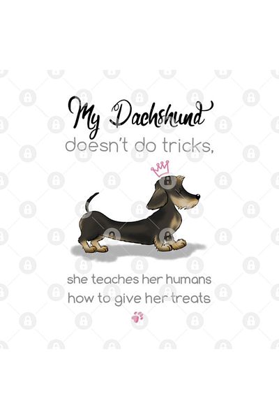 TatFast كوب شعر من My Dachshund Wire، هدية، مهر، حامل عرض