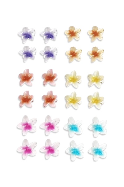 PRVT 24 Adet Karışık Renk Minik Lotus Toka Set