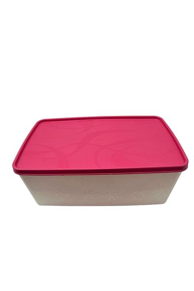 Hane216 3.5 Liter Nofrost Storage Container -20 C °