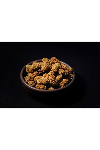 GÜNBAĞ GIDA Kuru Dut (1 kg)