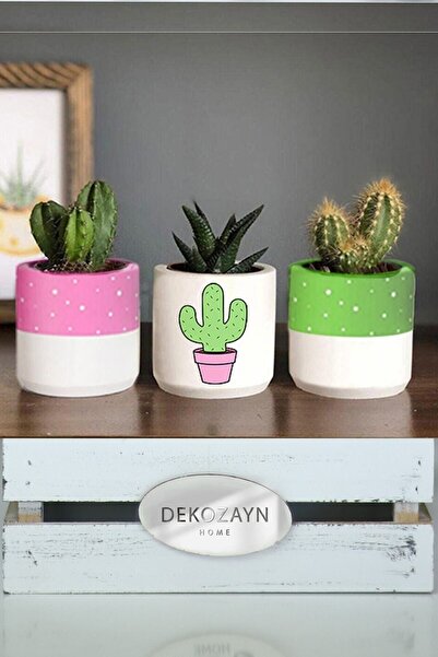 Genel Markalar Pembeli Kaktüs Desenli Beton Saksı Üçlü Set- Küçük Boy Sukulen...