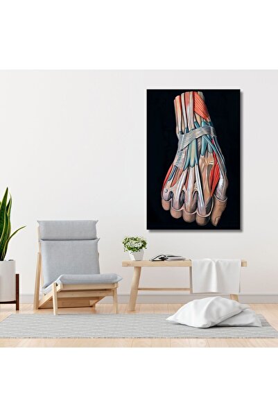 Single Vertical Canvas Microsurgical Polyclinic Table Hand Nerves