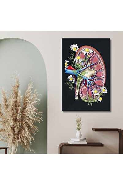Single Vertical Canvas Nephrology Polyclinic Table Flowering Kidney