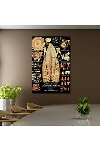 GAAGART Tekli Dikey Kanvas Diş Poliklinik Tablosu Diş Yapısı Poster