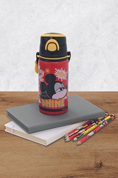 Frocx Mickey Mouse Çelik Matara Salto 500 ml R&S