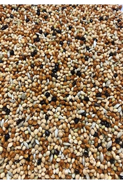 PEARSTORE Karışık Muhabbet Kuşu Yemi Yeni Mahsul 10 KG Karışık Muhabbet