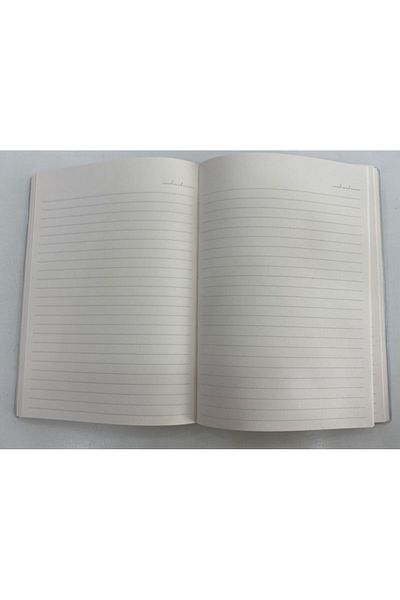 4nio Caietul prințesă albastră argintie