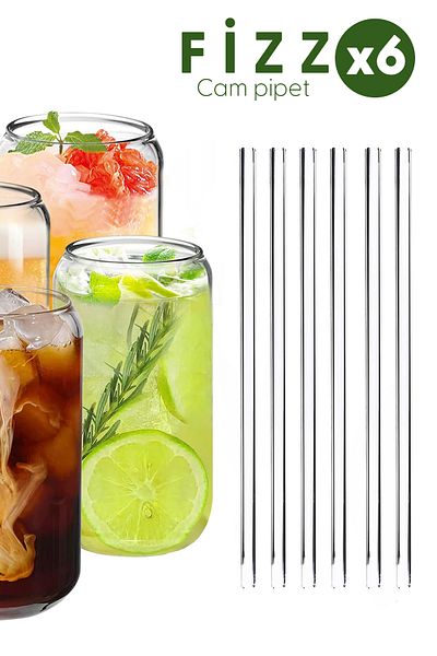 Fhilli Fizz - 6-Piece Borosilicate Glass Straws Flat Design