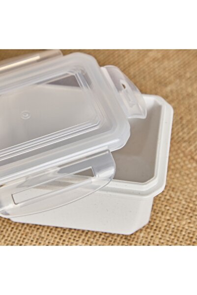 Home Box Rice Husk Food Container - 10.3x7.5x5.7 cm