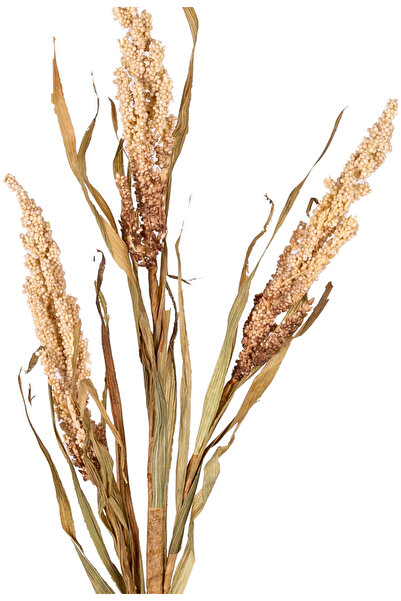 Herdekora Τεχνητό Φυτό Σόργκαμ Κρέμα 63 εκ.