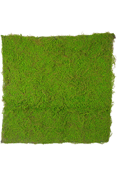 Herdekora Yapay Yosun Duvar Dekoru Tabaka Koyu Yeşil 100x100 Cm.