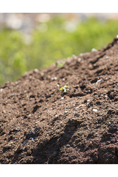 Gloria KEÇİ GÜBRESİ %100 DOĞAL(YAYLADA BESLENEN KEÇİ GÜBRESİ) YANMIŞ ELENMİŞ 15 LT